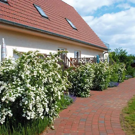 Terraced House Buchholz Am Muritzsee - Dms021071-i